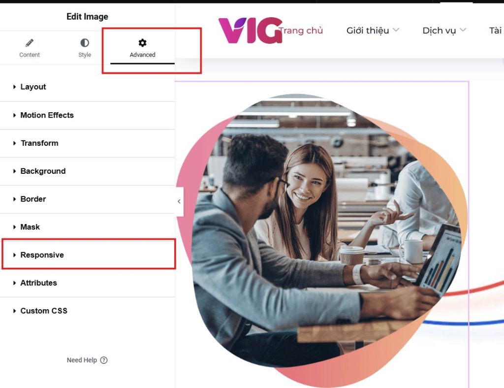Chinh Sua Advanted Nang Cao Tren Elementor